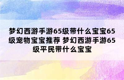 梦幻西游手游65级带什么宝宝65级宠物宝宝推荐 梦幻西游手游65级平民带什么宝宝